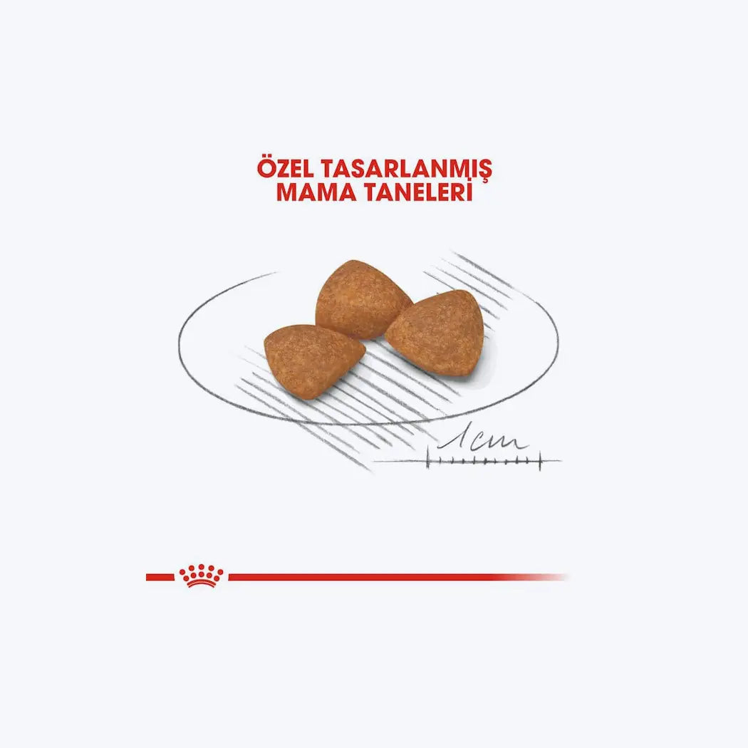 Royal Canin X-Small Ageing 12+