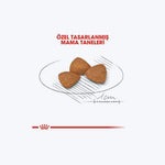 Royal Canin X-Small Ageing 12+
