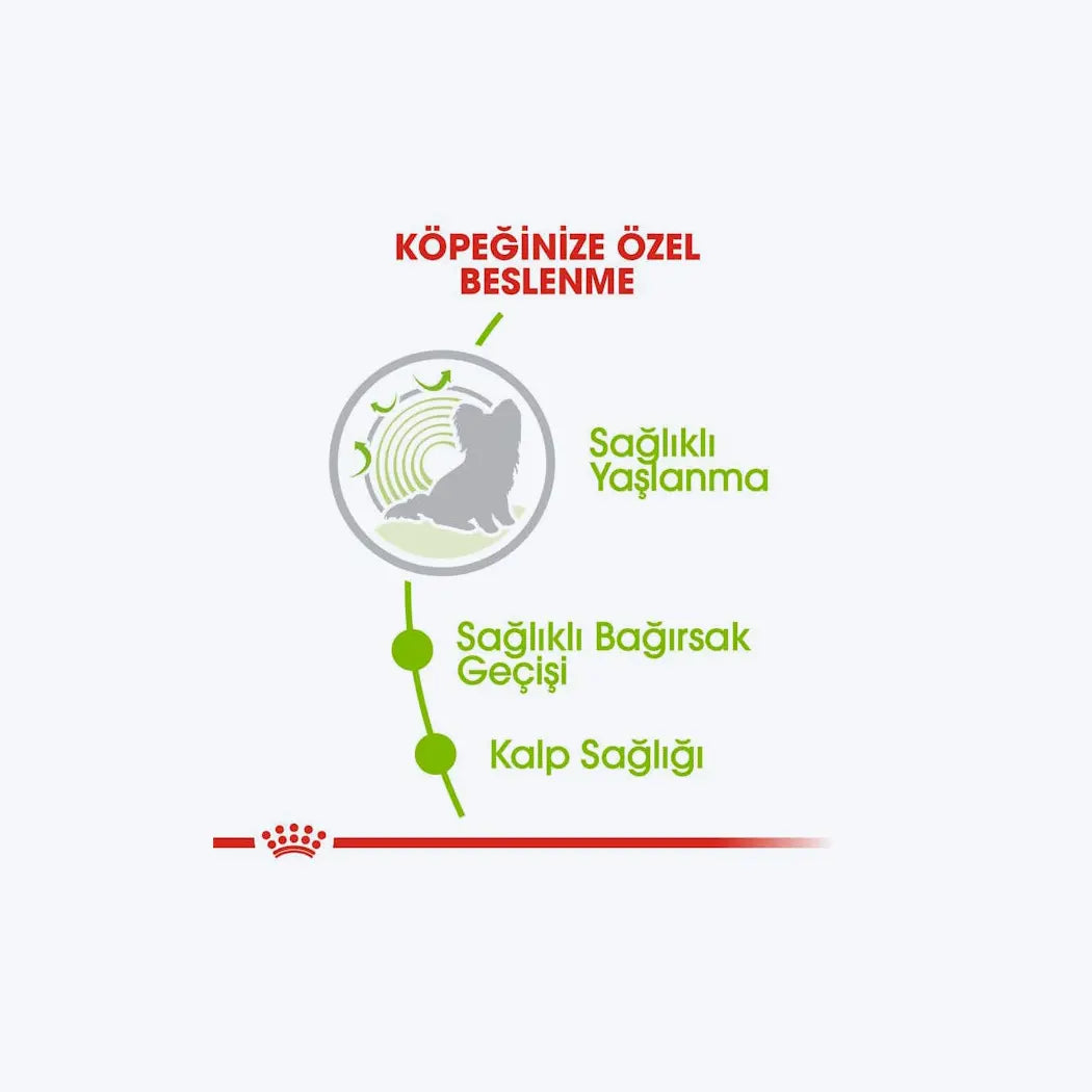 Royal Canin X-Small Ageing 12+