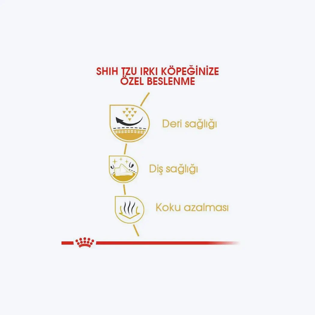 Shih Tzu Adult