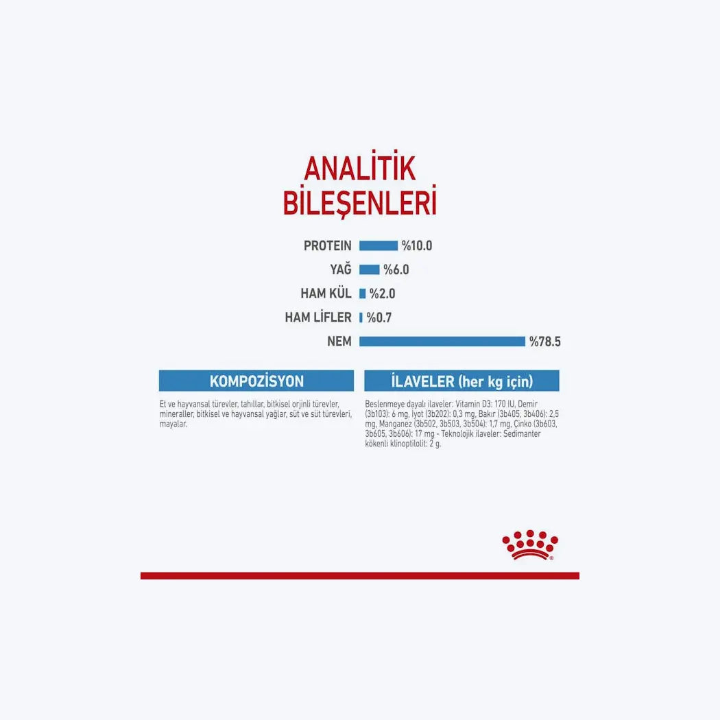 Starter Mousse Mother And Babydog