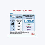 Starter Mousse Mother And Babydog