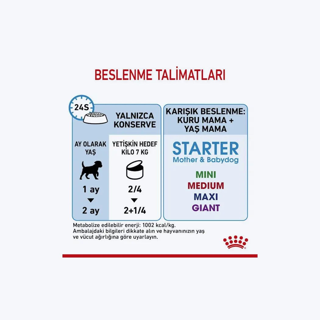 Starter Mousse Mother And Babydog