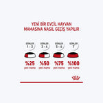 Starter Mousse Mother And Babydog