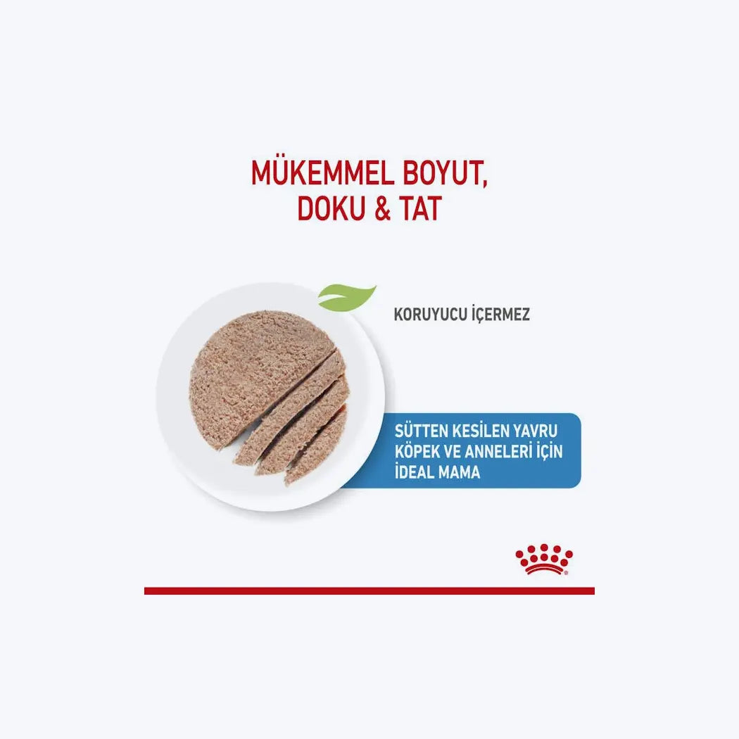 Starter Mousse Mother And Babydog