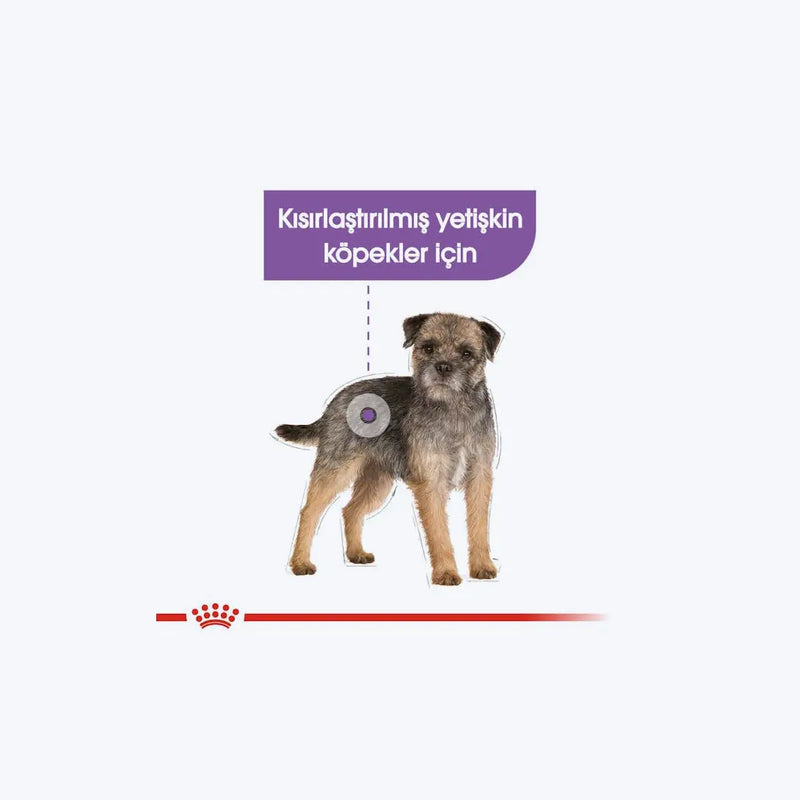 ROYAL CANIN® Sterilised Loaf