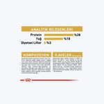 Yorkshire Terrier Adult