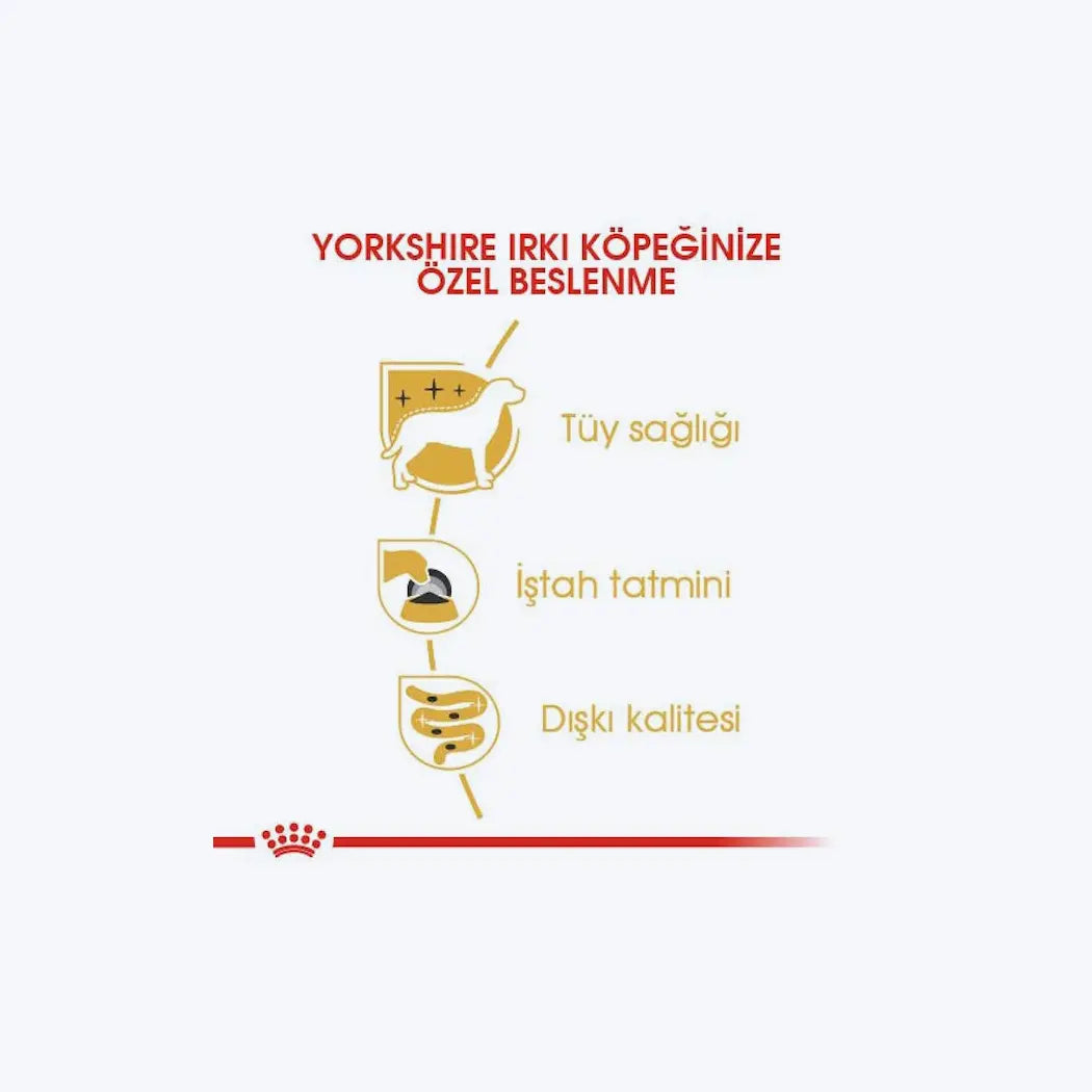 Yorkshire Terrier Loaf