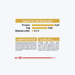 Yorkshire Terrier Puppy