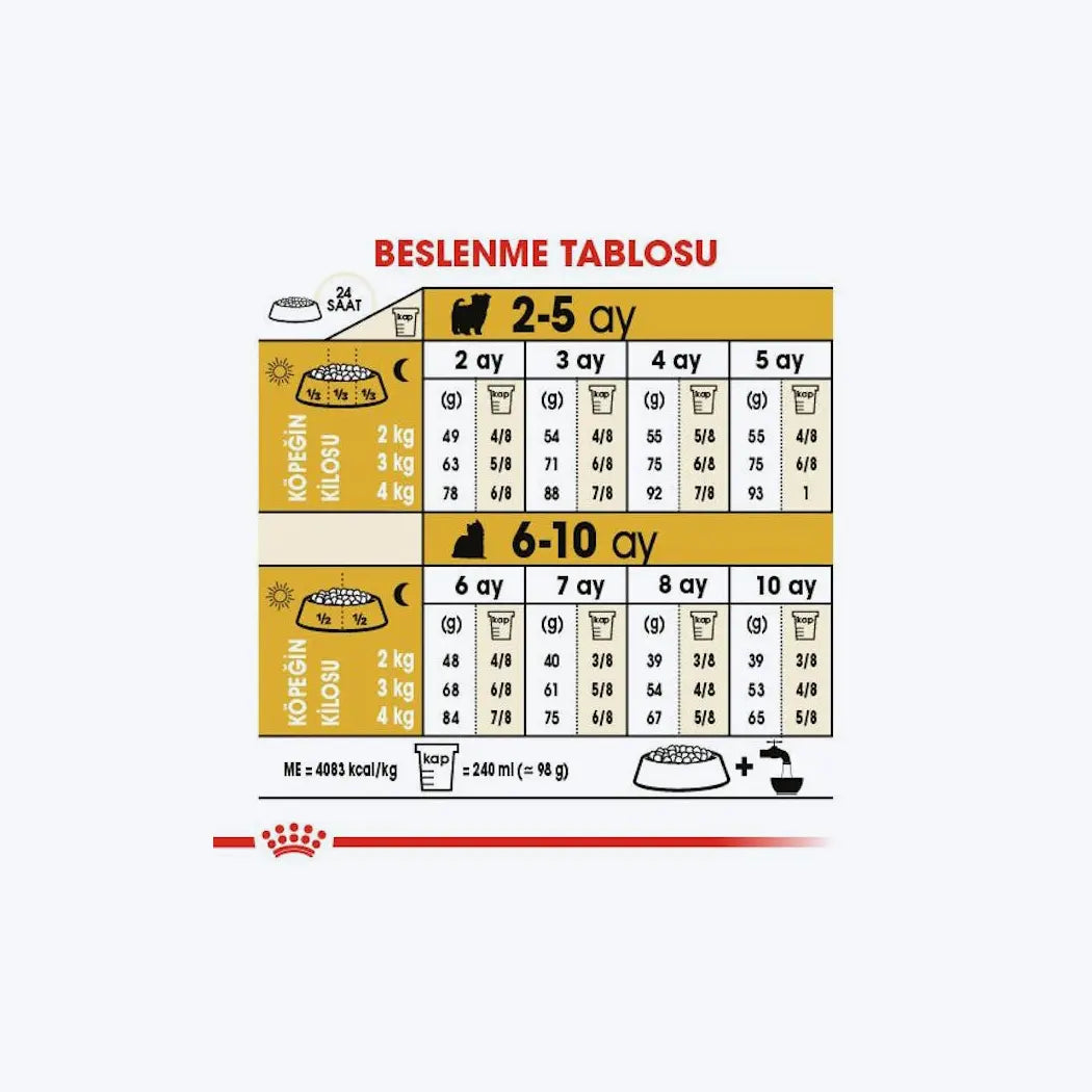 Yorkshire Terrier Puppy