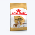 Royal Canin Cavalier King Charles Yetişkin Köpek Maması
