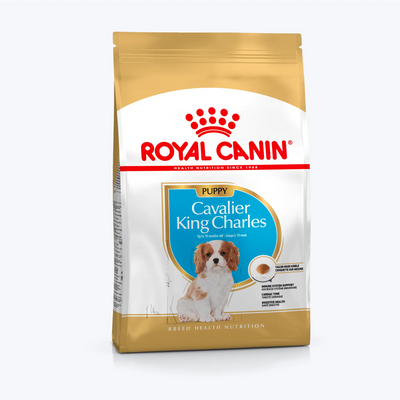 Royal Canin Puppy Cavalier King Charles Yavru Köpek Maması 1,5 Kg