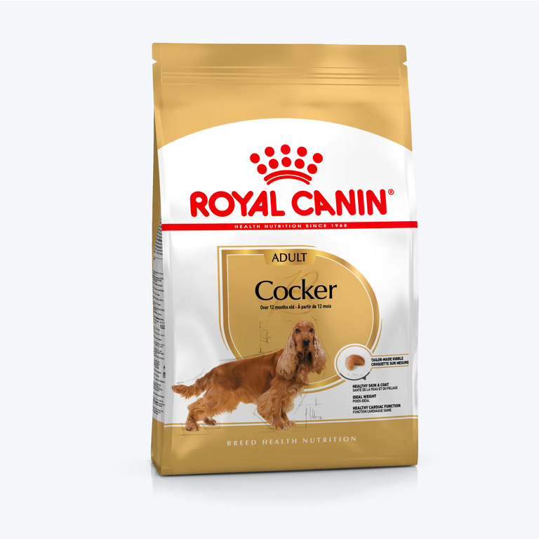 Cocker Adult