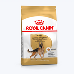 German Shepherd Adult