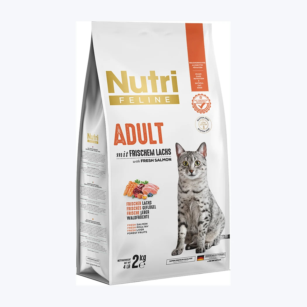 Nutri Feline Adult Somonlu Yetişkin Kedi Maması