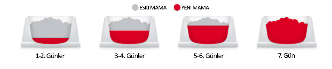 Hill's Mamaya Geçiş Süreci