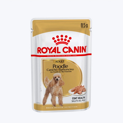 Royal Canin Adult Poodle Caniche Tüy Sağlığı Destekleyici Yetişkin Köpek Yaş Maması 85 Gr