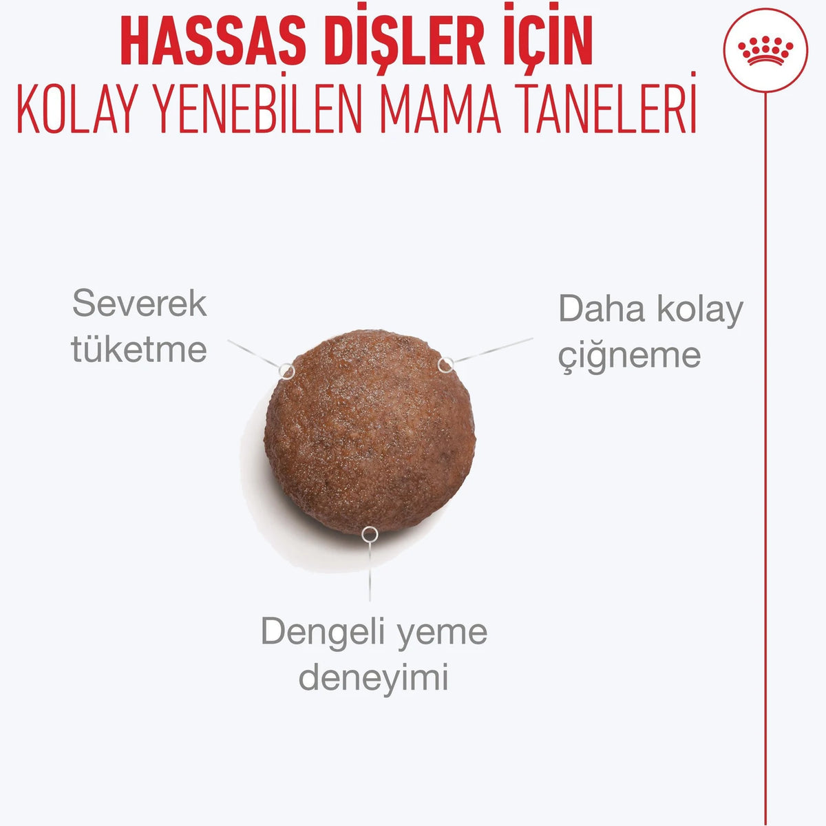 Royal Canin Healthy Ageing 11+ Yaşlı Kedi Maması kolay yenen mama tanesi