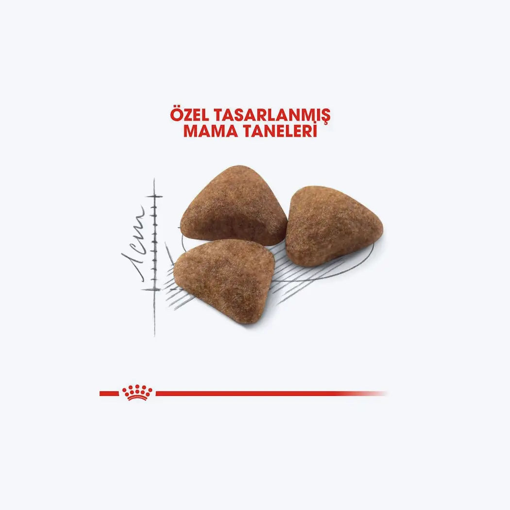 Royal Canin Indoor 27
