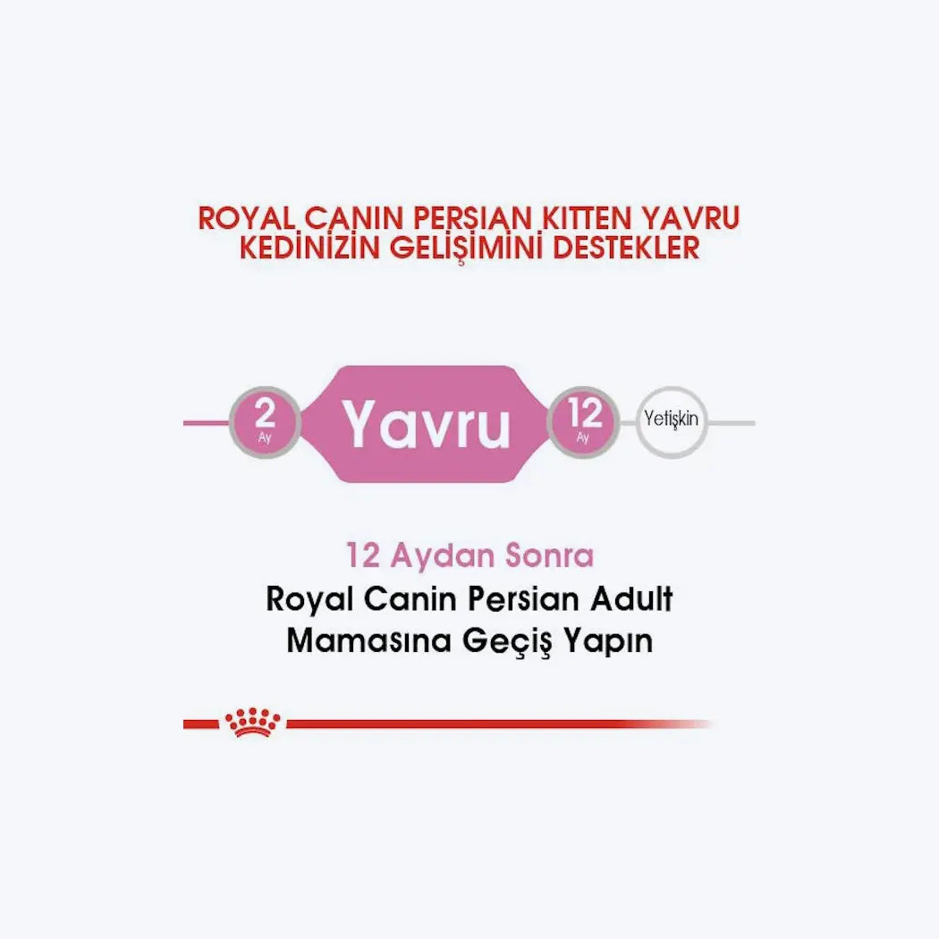 Royal Canin Persian Kitten