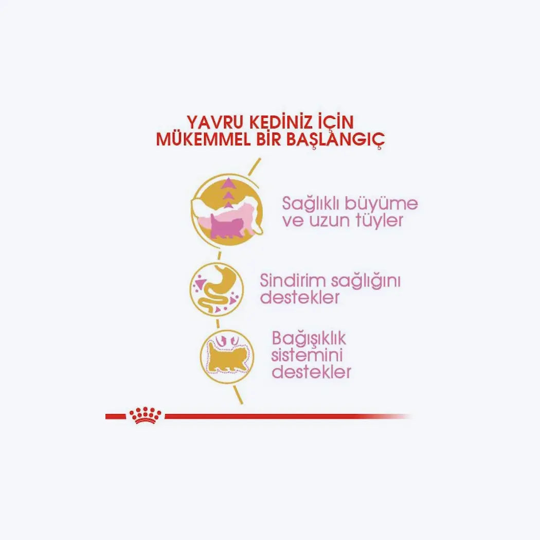Royal Canin Persian Kitten