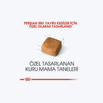 Royal Canin Persian Kitten