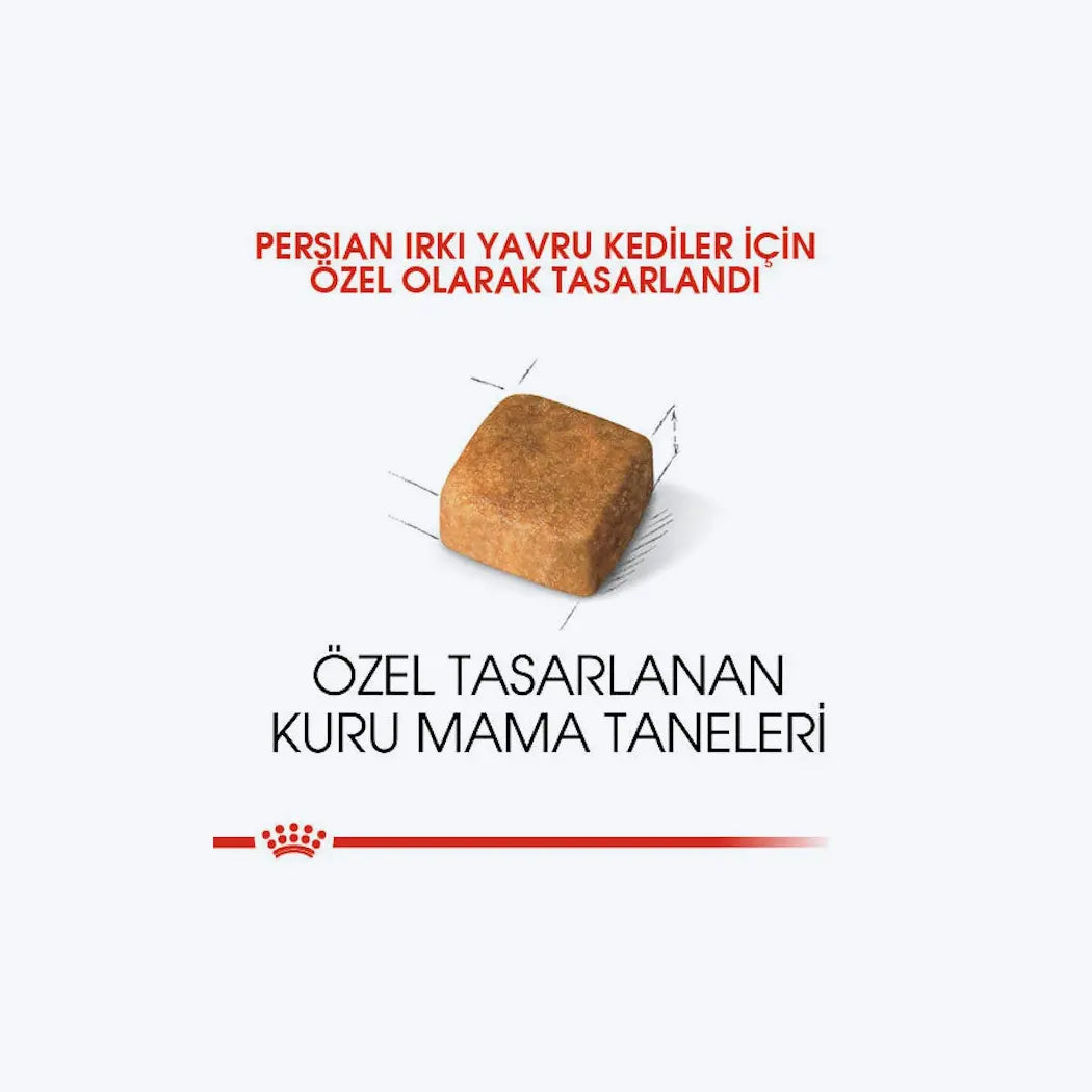 Royal Canin Persian Kitten