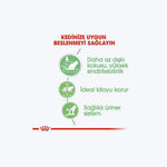 ROYAL CANIN Digest Sensitive Gravy