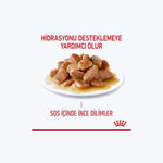 ROYAL CANIN Digest Sensitive Gravy