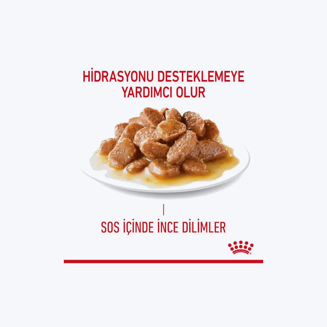 ROYAL CANIN Digest Sensitive Gravy