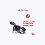 ROYAL CANIN Digest Sensitive Gravy