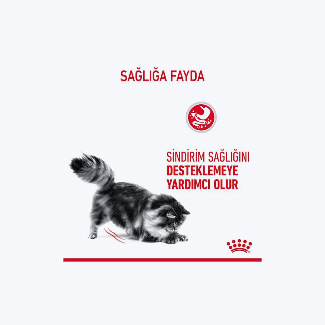 ROYAL CANIN Digest Sensitive Gravy