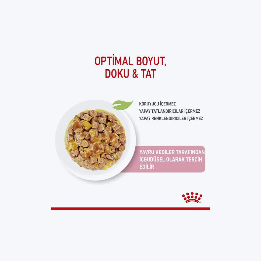 Royal Canin Kitten Jelly