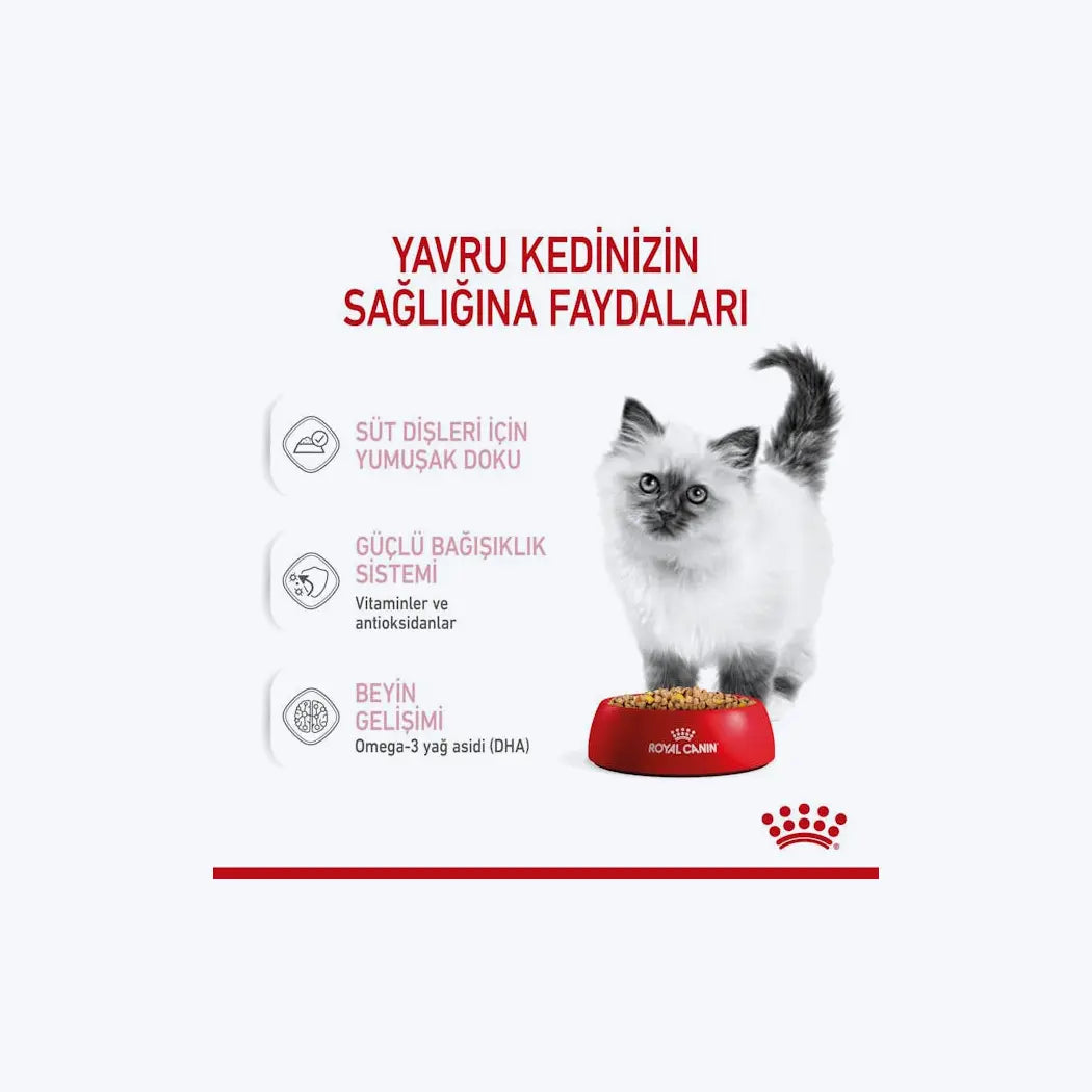 Royal Canin Kitten Jelly