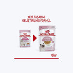 Royal Canin Kitten Jelly