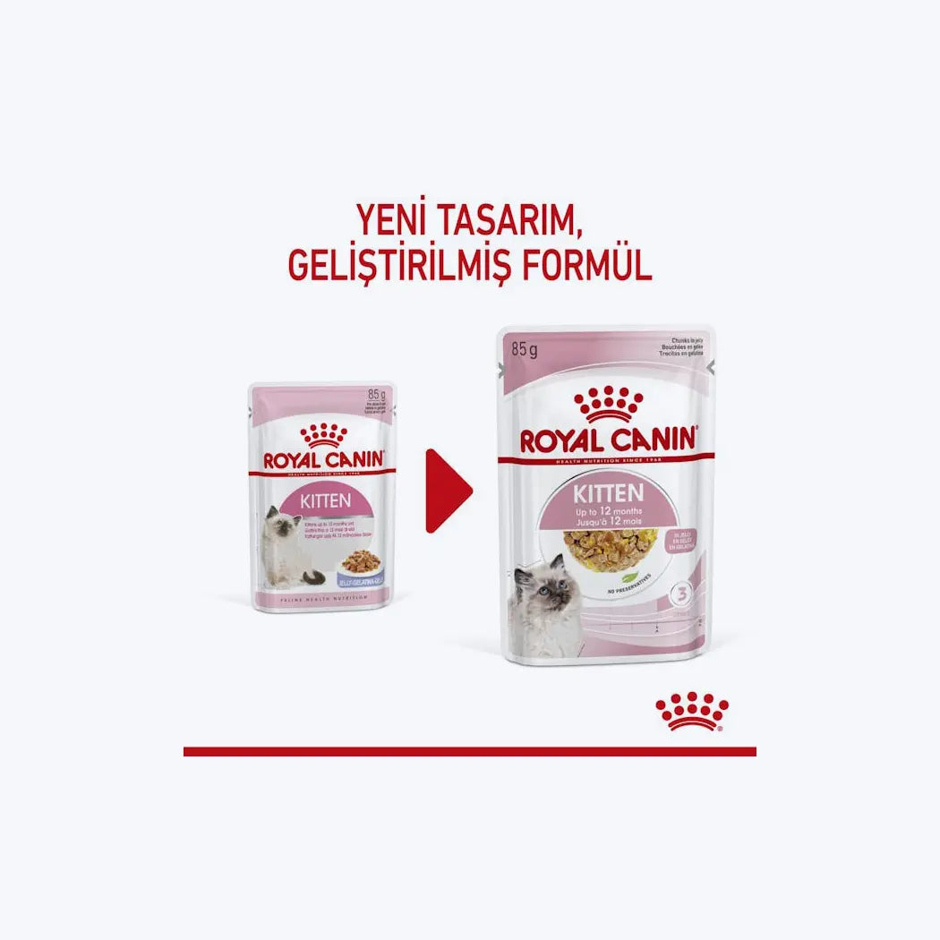 Royal Canin Kitten Jelly