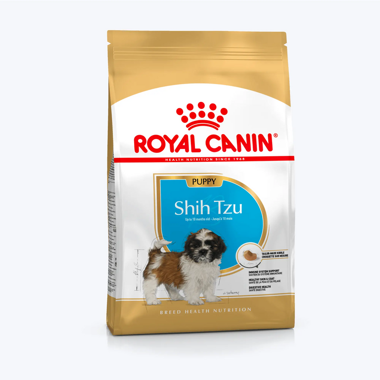 Shih Tzu Puppy