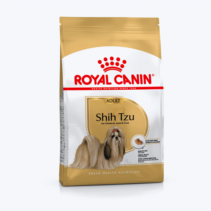 Shih Tzu Adult
