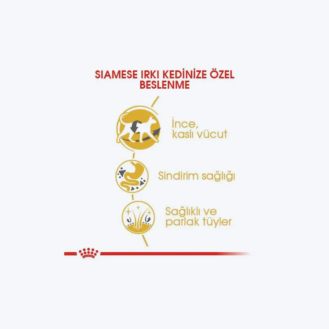 Royal Canin Siamese