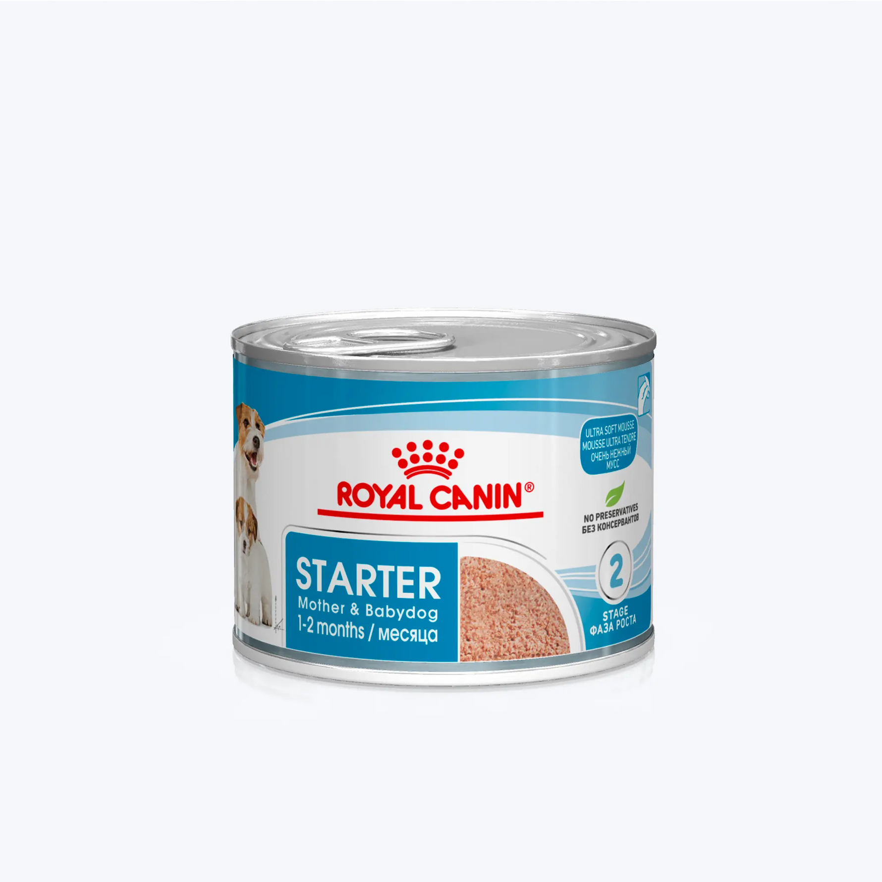 Royal Canin Starter Mousse Anne ve Yavru Köpek Konservesi