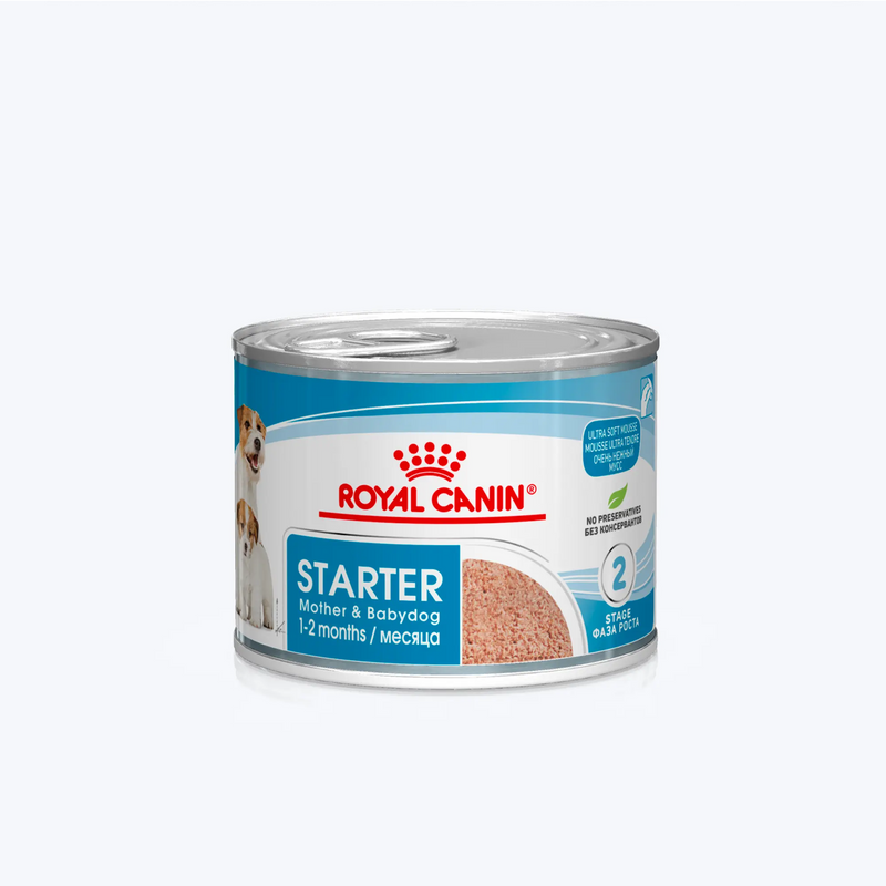 Royal Canin Starter Mousse Anne ve Yavru Köpek Konservesi