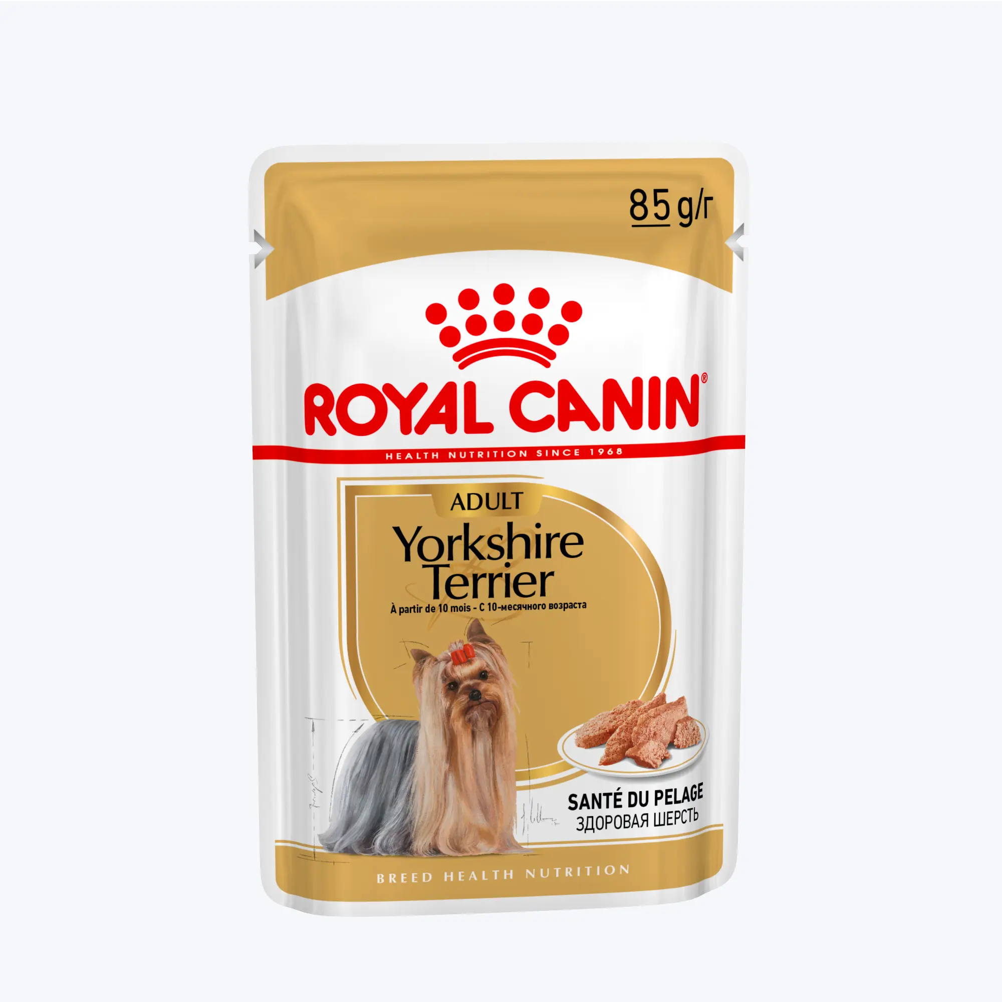 Yorkshire Terrier Loaf