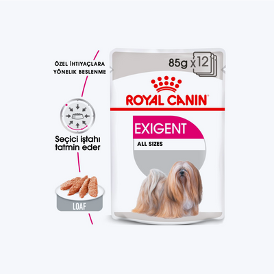 Royal Canin Exigent Seçici Köpeklere Özel Yetişkin Köpe Yaş Maması 85 Gr